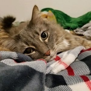 Meet your Posher, Breanna